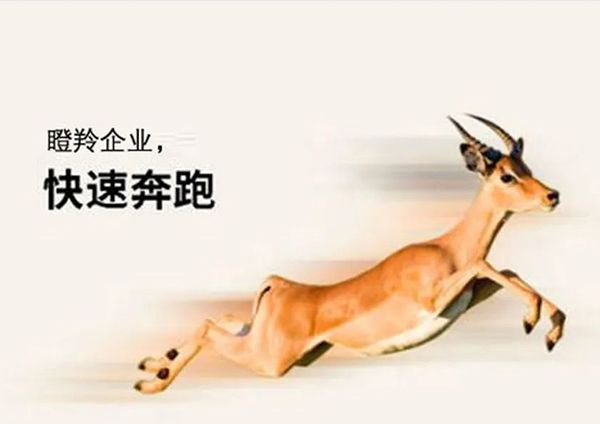 喜報(bào)！廣州研恒入選廣州市“瞪羚企業(yè)”